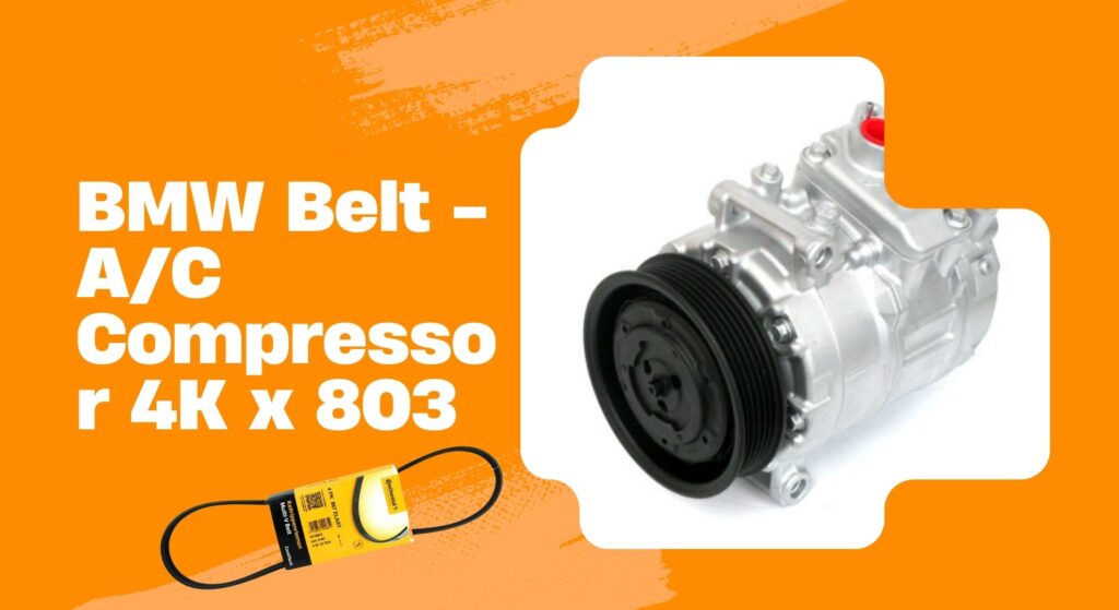 BMW Belt - A/C Compressor 4K x 803