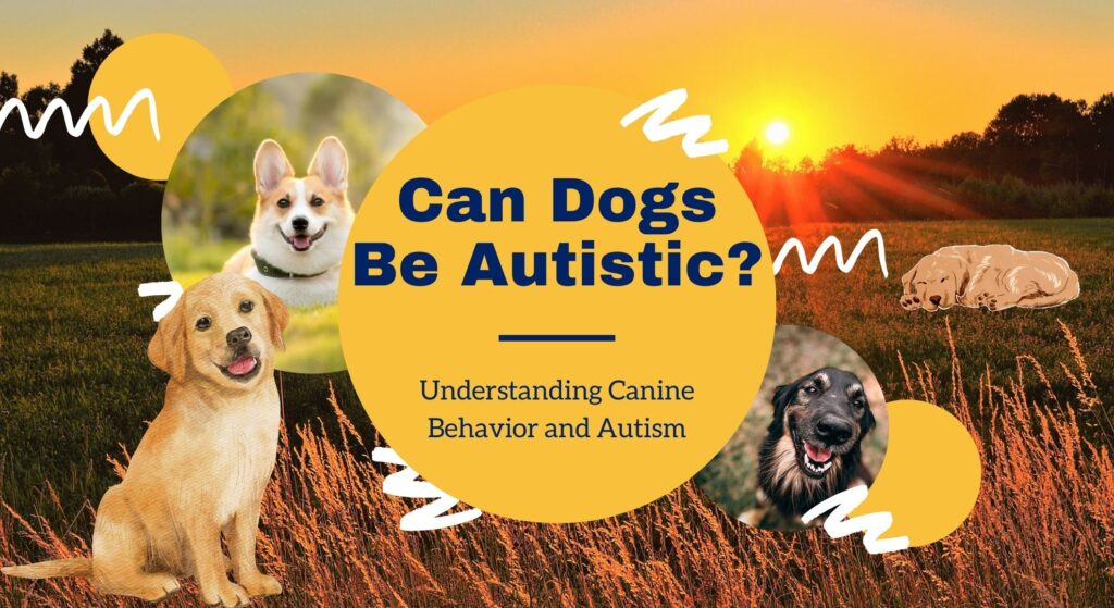 Can Dogs Be Autistic? Understanding Canine Behavior and Autism