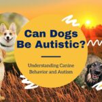 Can Dogs Be Autistic? Understanding Canine Behavior and Autism