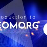 Introduction to Leomorg